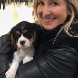 Cavalier King Charles Spaniel All Grown Up from Phoenix Cavaliers - Cavalier King Charles Spaniels