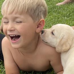 Labrador Retriever Puppies from BellaVista Labradors LLC