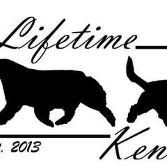 Australian Shepherds and Grand Basset Griffon Vendeens from Lifetime Australian Shepherds and GBGVS