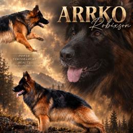 Arrko - German Shepherd