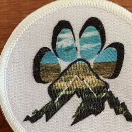 Poodles from Speeds Creek Kennels