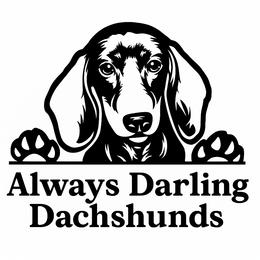 Dachshunds from Always Darling Dachshunds