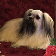 Roccoco - Mi-Ki