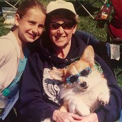 Pembroke Welsh Corgis from Foxwood Corgis