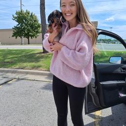Millie AKC - Dapple female Dachshund puppy in Coweta, Oklahoma from Sunnyside Dachshunds