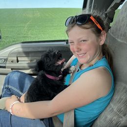 Miniature Schnauzer Puppies from Winona Schnauzers