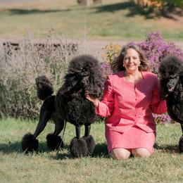 Havanese and Poodle All Grown Up from Ali-Ann Standard Poodles