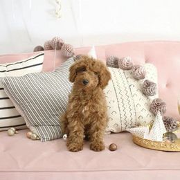 Goldendoodle Puppies from Yuppy Puppy Goldendoodles