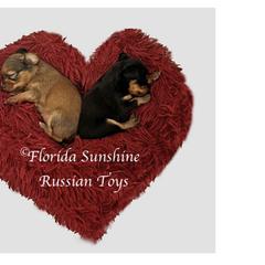 Russian Toys from FLORIDA SUNSHINE RUSSIAN TOYS