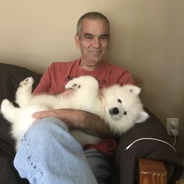 Samoyed Puppies from Kenjo Samoyeds