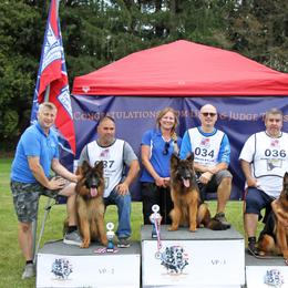 German Shepherd Puppies from Northwinds German Shepherds