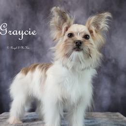 Graycie - Mi-Ki