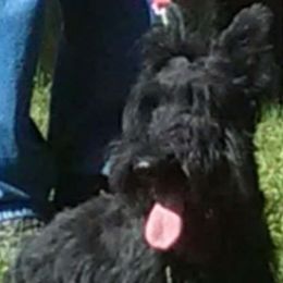 Bonnie - Scottish Terrier