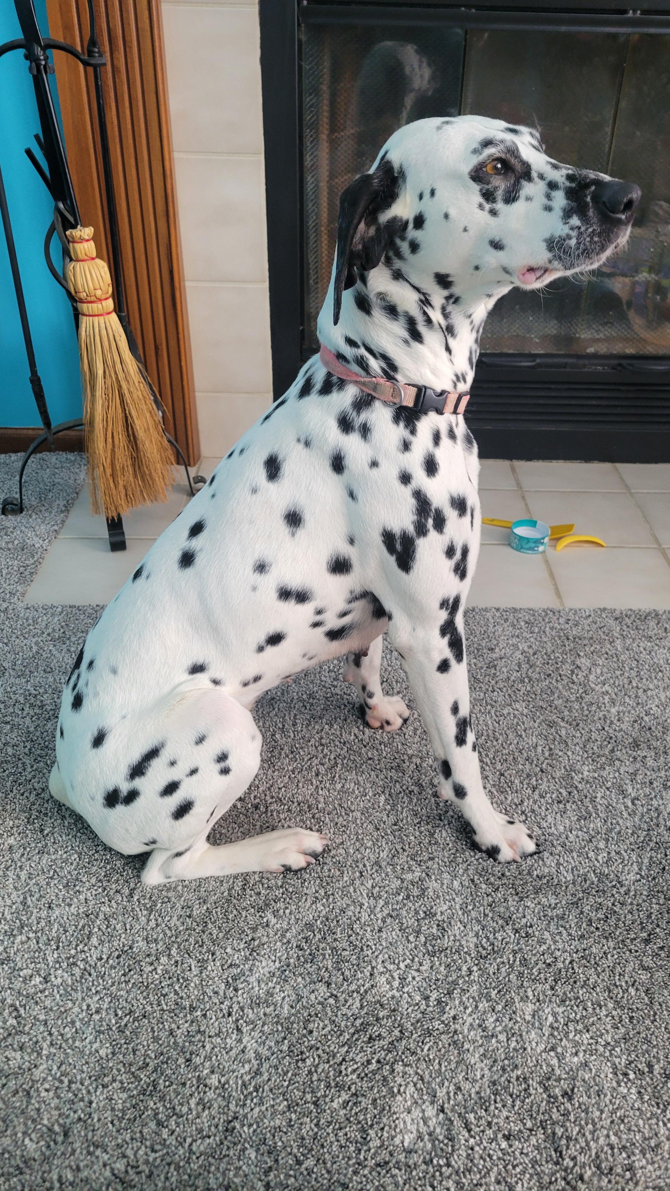 Lucy