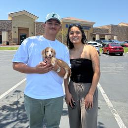 Graham Cracker - Piebald male Dachshund puppy in Temecula, California from Naomi Magee's Dachshund Kennel