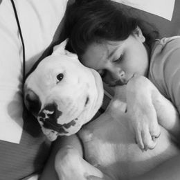 American Bulldog Puppies from Ferocia Kennels