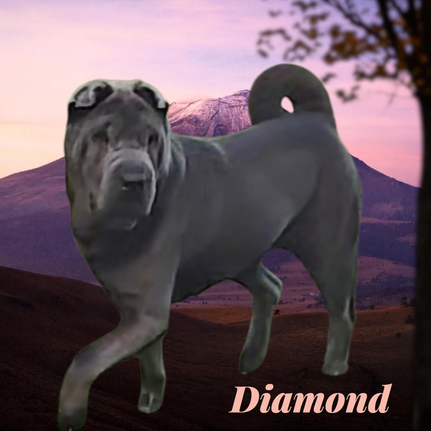 Unnamed