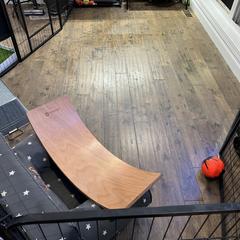 Saint Berdoodle Puppies from Highland Ridge Doodles