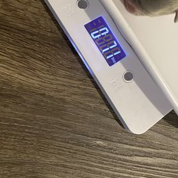 Girl 1 - French Bulldog puppy in Covington, Georgia from Crooked C Ranch