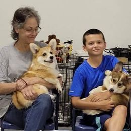 Pembroke Welsh Corgi Puppies from Cattal Corgis