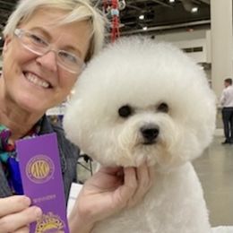 Lure - Bichon Frise