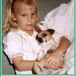 Rat Terrier Puppies from RaganRat Terriers