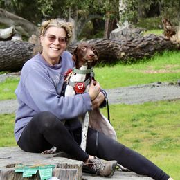 "Mustang" , JH,SWNE, SWA, SCE, SBE, SHDN - German Shorthaired Pointer