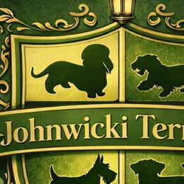 Cesky Terriers from Johnwicki Terriers