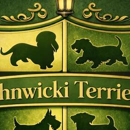 Cesky Terriers from Johnwicki Terriers