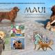 Maui