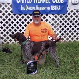 German Shorthaired Pointers from Crosswind Kennel