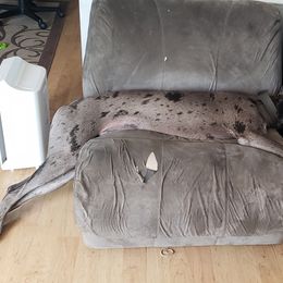 Dachshund and Great Dane All Grown Up from KIAYA BUTLER