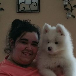 Samoyed Puppies from Kenjo Samoyeds
