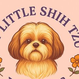 Shih Tzus from My Little Shih Tzu Dreams