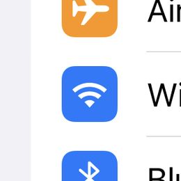 Labrador Retriever Puppies from Linro Labradors