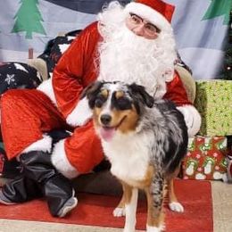 Aussiedoodles, Goldendoodles, and Golden Retrievers from Tails of Cypress
