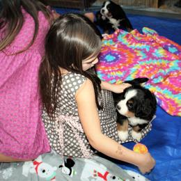 Bernese Mountain Dog Puppies from Baby Bear Bernese Kennel