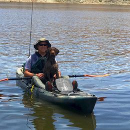 Golden Retrievers and Wirehaired Pointing Griffons from Woodecoy Golden Retrievers and Wirehaired Pointing Griffons