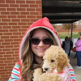 Goldendoodle Puppies from Gallimore Doodles