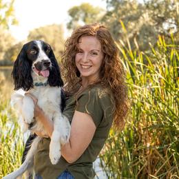 English Springer Spaniels from Canyon Sage Springers