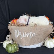 Purple - Dogo Argentino puppy from Primo Kennels