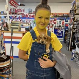 Dachshund Puppies from M & M Breeding