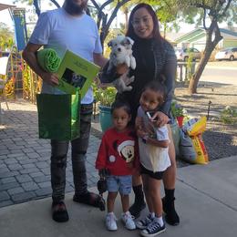 Aussiedoodle, Miniature Australian Shepherd, and Toy Australian Shepherd Puppies from Valley Toy Aussies