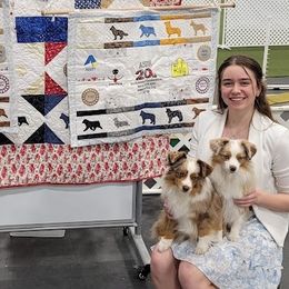 Miniature Australian Shepherds and Toy Australian Shepherds from Plum Creek Aussies