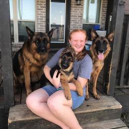 German Shepherd Puppies from Semper Fi K9 Montana