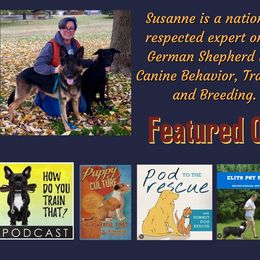 German Shepherd Puppies from Austerlitz German Shepherds