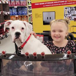 Lulu - Boxer
