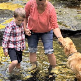 Cavalier King Charles Spaniels and Golden Retrievers from Green Acres Nextgen