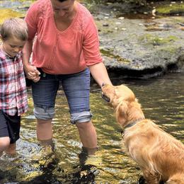 Cavalier King Charles Spaniels and Golden Retrievers from Green Acres Nextgen