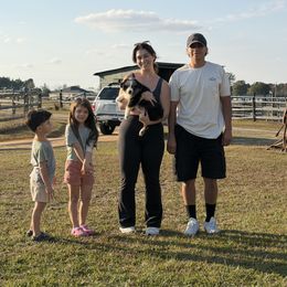 Rip - Blue merle male Australian Shepherd puppy in Red Springs, North Carolina from Julia Rose Ranch